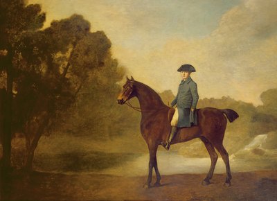 A gentleman on a bay hunter, 1771 by George Stubbs